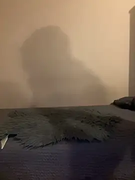 Snapshot of Budibudi5 chatting on 19, 11, 2025 Budibudi5 online show from 19, 11, 2025