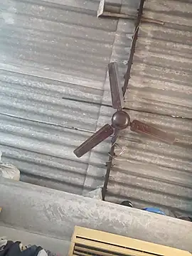 lovely----bhabhi online show from 24, 11, 2025