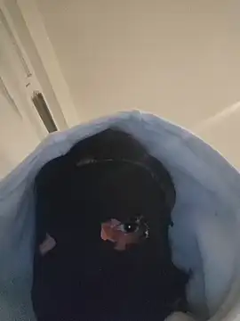 Bigdick420anal online show from 6, 2, 2026