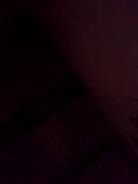 Bichorro online show from 3, 2, 2026