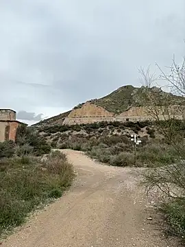 Mona Plus online show from 6, 3, 2026