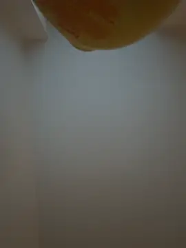 Bleueyez007 online show from 10, 2, 2026