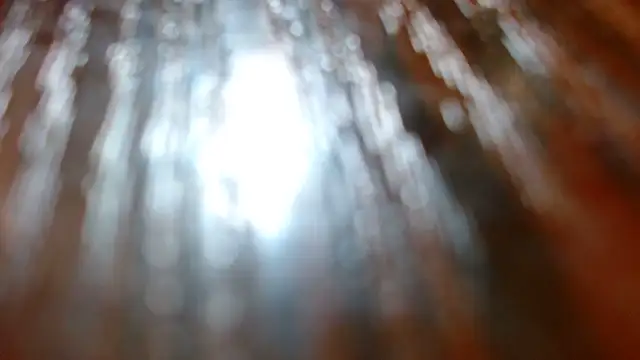 moonmaaiden online show from 13, 3, 2026