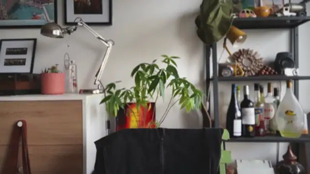 MikymikeBBWD online show from 14, 1, 2026