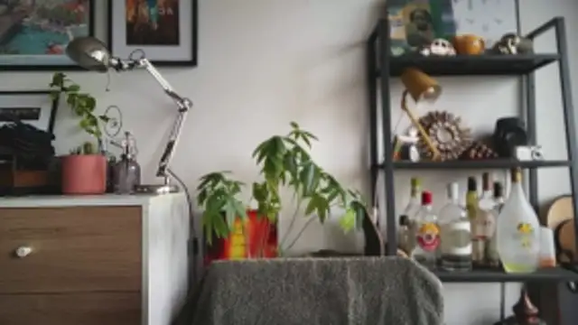 MikymikeBBWD online show from 24, 2, 2026