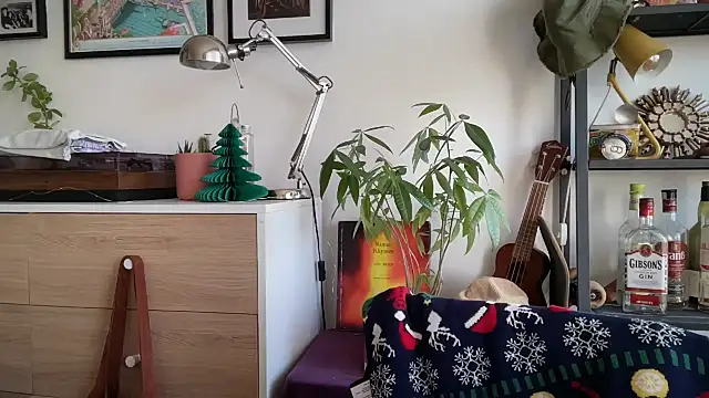 MikymikeBBWD online show from 16, 12, 2025