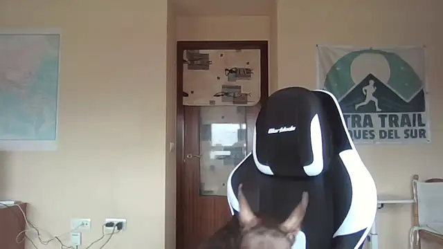 llopaco online show from 12, 4, 2026