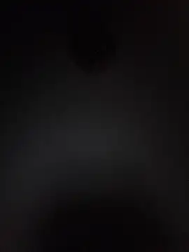 Loly2025 online show from 15, 2, 2026