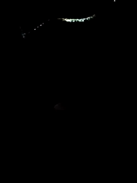 Loly2025 online show from 21, 3, 2026