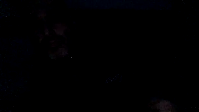 Snapshot of Novabear6996 chatting on 28, 2, 2025 Novabear6996 online show from 28, 2, 2025