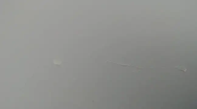 CamiloBeltran  online show from 2, 3, 2025