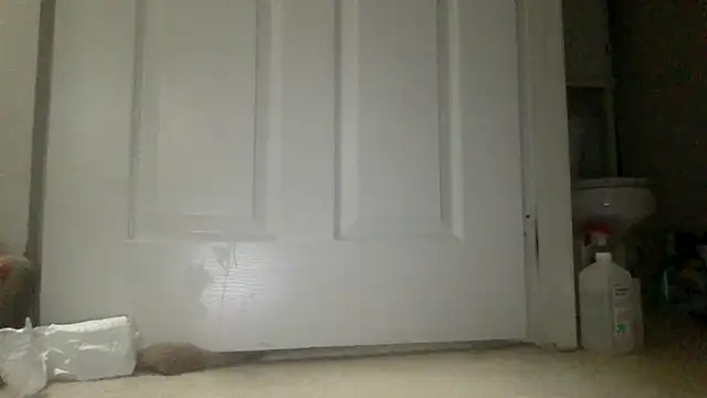 icedcoffeex online show from 16, 4, 2026