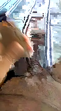 desi pb02 online show from 11, 11, 2025