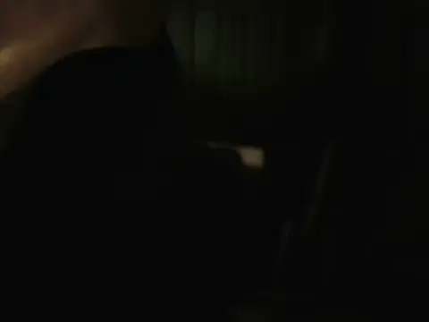 PreetyKitten online show from 16, 12, 2025