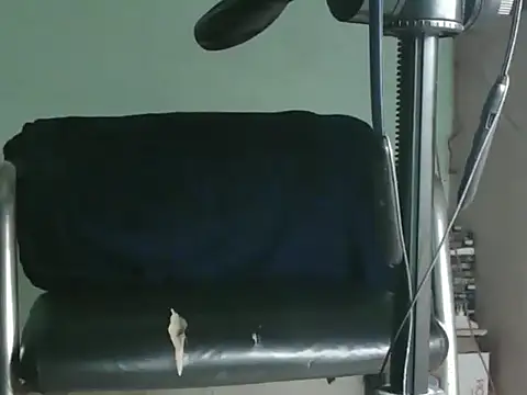 PreetyKitten online show from 8, 11, 2025