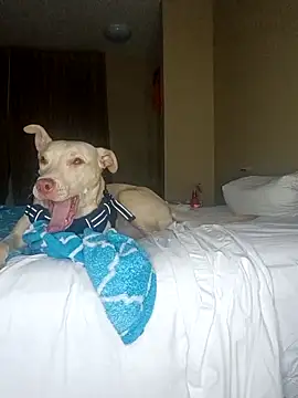 KingSlim56 online show from 18, 12, 2025