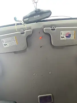 QueenM3 online show from 15, 11, 2025