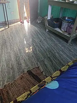 HorNy Bro Sis online show from 13, 1, 2026