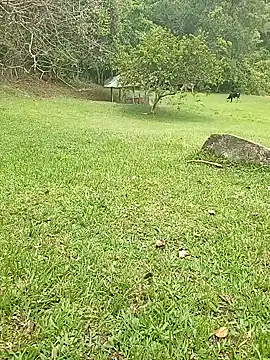 Mycansonhot online show from 23, 10, 2025