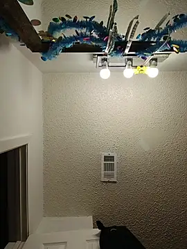 HTXBELLE online show from 23, 2, 2026