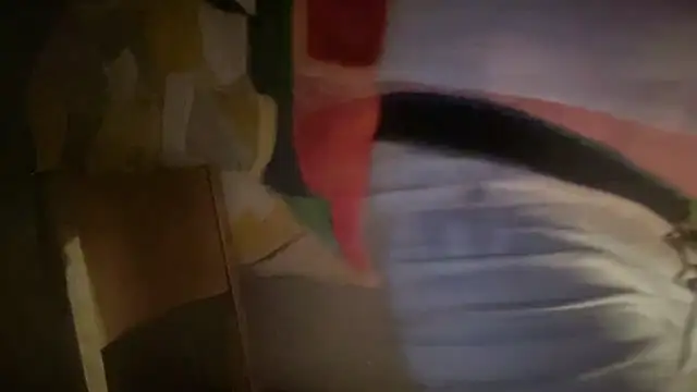 DominantDong online show from 7, 2, 2026