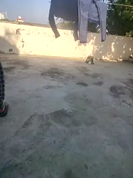 indian couple4 online show from 16, 12, 2025