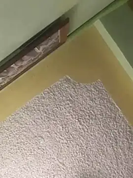 calme odl1 online show from 24, 3, 2026