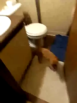 taterae online show from 19, 10, 2025