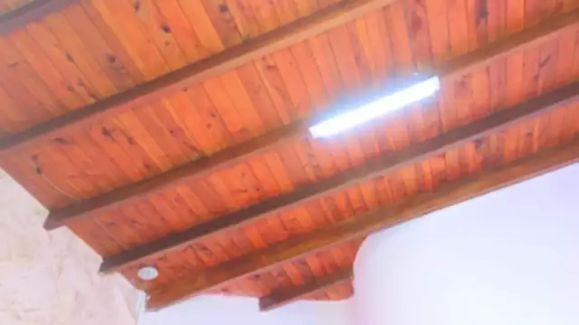 Leaa Cox online show from 9, 1, 2026