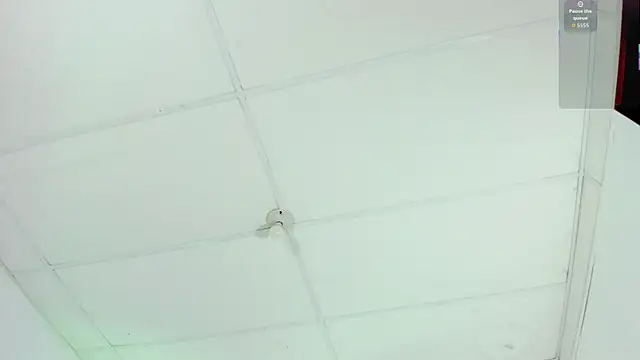 cutie sarax1 online show from 10, 11, 2025