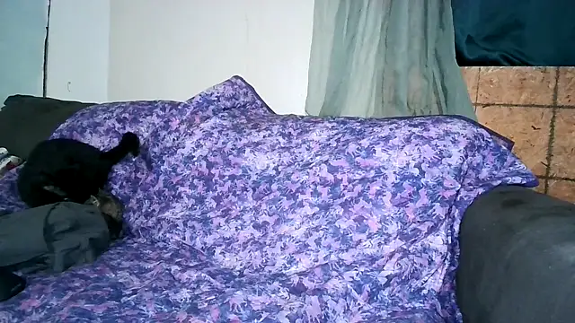 donut024 online show from 10, 3, 2026