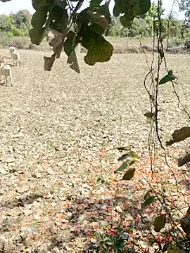 cute1gfbf online show from 5, 3, 2025