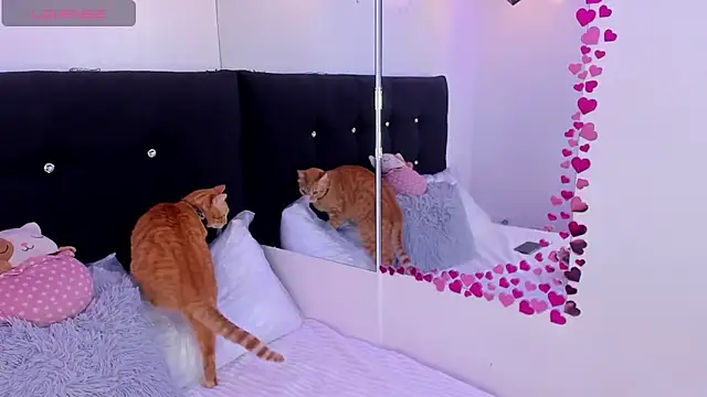 Anniie  Evans online show from 16, 3, 2026