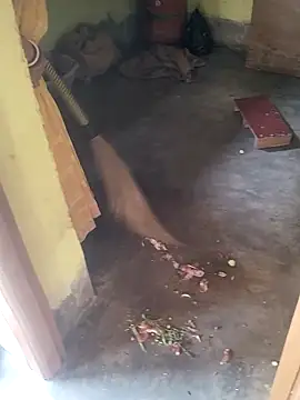 devarbhabhisexpower online show from 10, 4, 2026