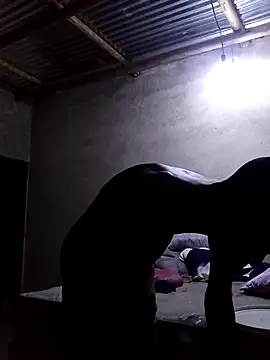 lilpip online show from 12, 2, 2026