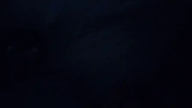 Mrpito7878 online show from 8, 3, 2025