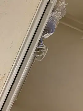 daniel21p online show from 10, 3, 2025