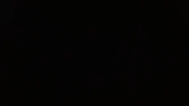 Pandora 9666 online show from 19, 4, 2026