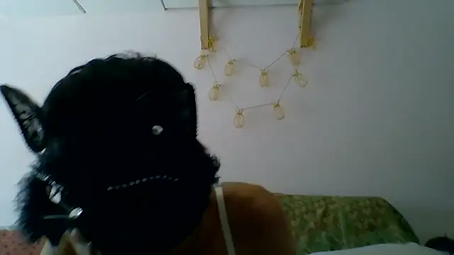 kittysissy online show from 31, 7, 2026