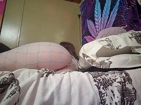 Seductivefoxyxh online show from 7, 3, 2026