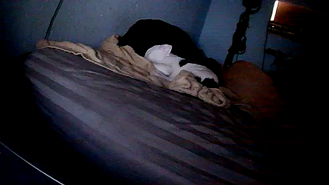 PornStro921 online show from 11, 2, 2026