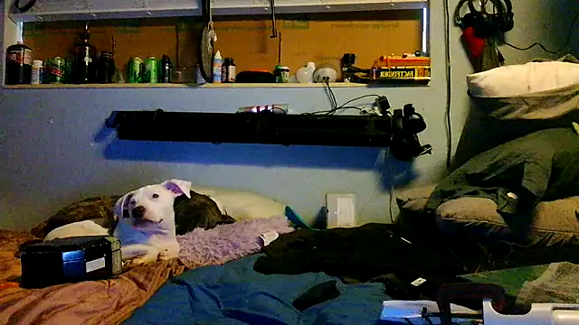 PornStro921 online show from 17, 3, 2026