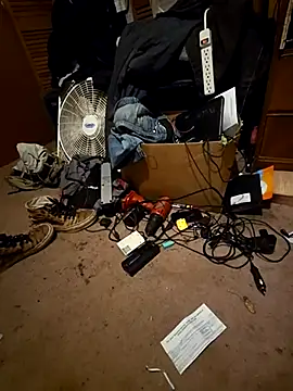 SillyRabbitz online show from 26, 11, 2025