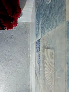 Snapshot of wildfun_ chatting on 22, 10, 2025 wildfun online show from 22, 10, 2025