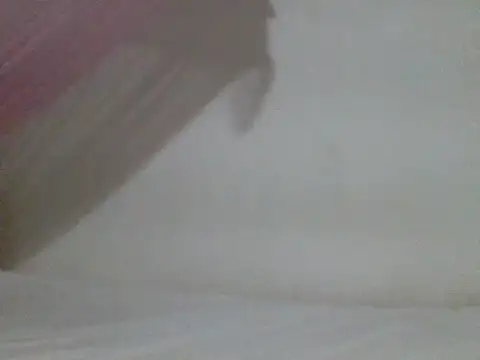 Snapshot of sissydinu chatting on 9, 5, 2026 sissydinu online show from 9, 5, 2026