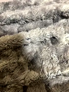 Snapshot of Gabduro80 chatting on 30, 11, 2025 Gabduro80 online show from 30, 11, 2025