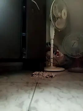 payalchola online show from 14, 3, 2026