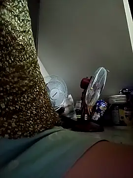 payalchola online show from 15, 4, 2026