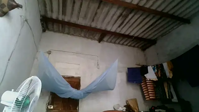 boodjona2 online show from 19, 12, 2025