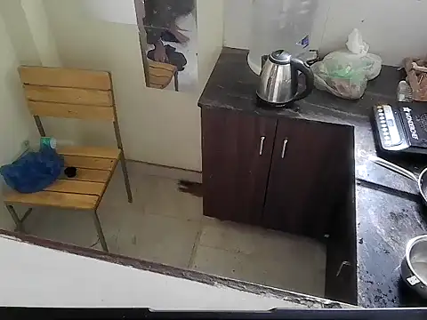 fitbuddy1 online show from 1, 3, 2026